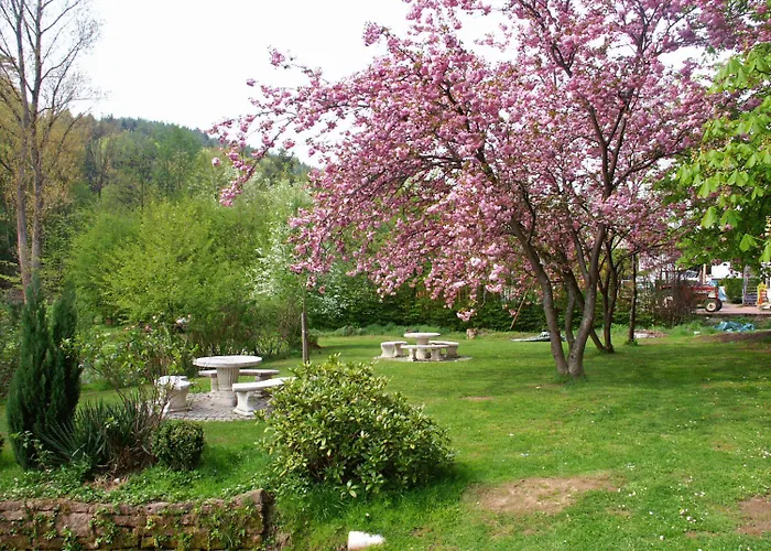 Hotel Zum Engel Mespelbrunn