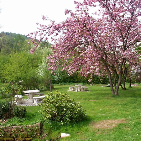 Hotel Zum Engel Mespelbrunn