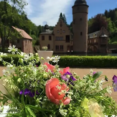 Zum Engel מלון 3*