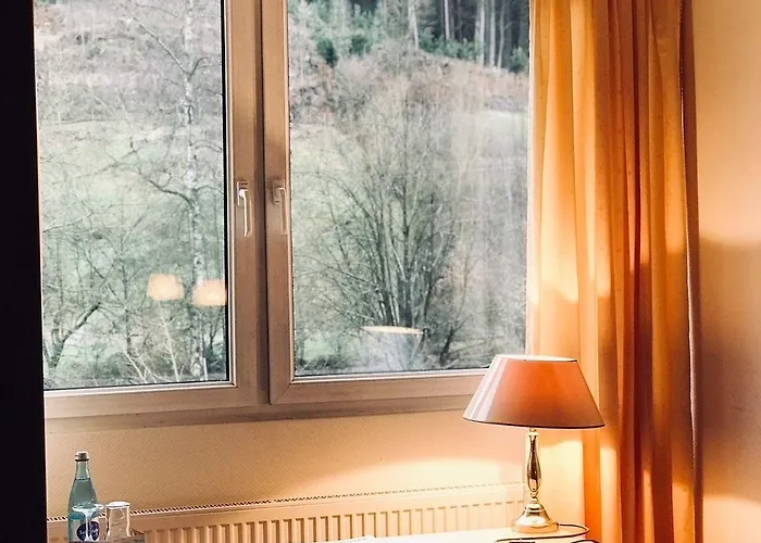 Hotel Zum Engel 3*