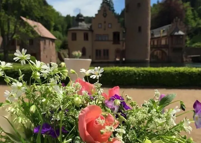 Zum Engel Hotel 3*